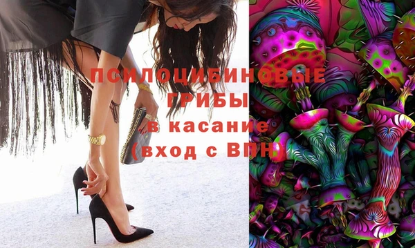 спайс Белокуриха