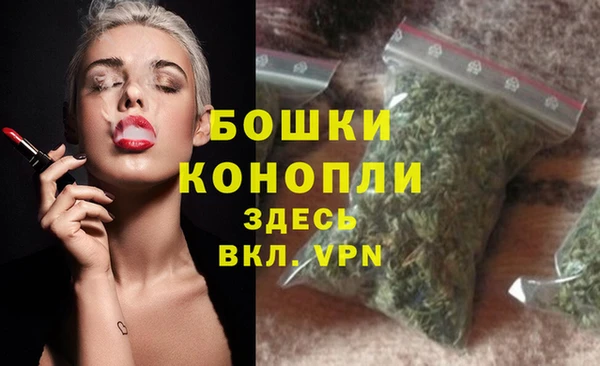 дживик Белоозёрский